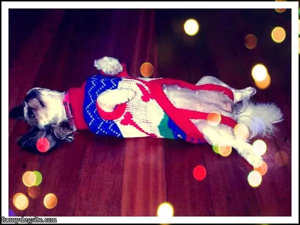 After Holiday Feast