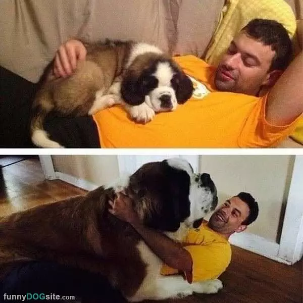 All Grown Up