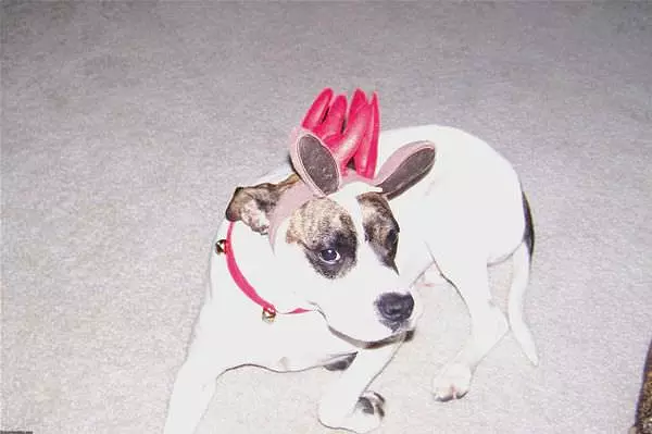 Jack X Mas 2008