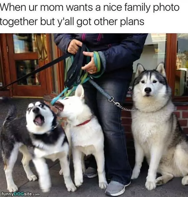Time For A Family Photo
