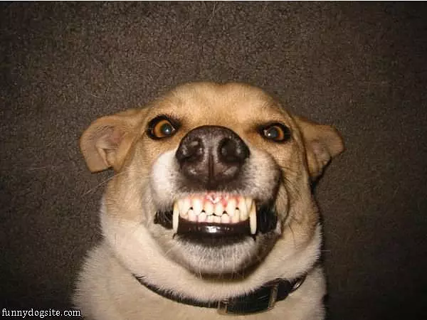 Big Smiles