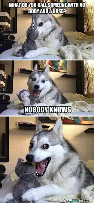 No Body And No Nose