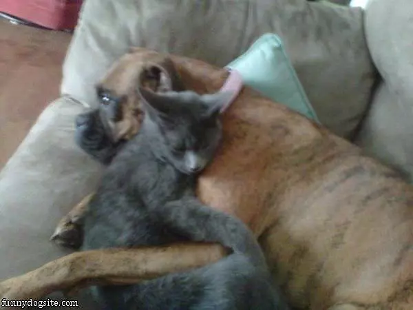 Hugging And Sleeping