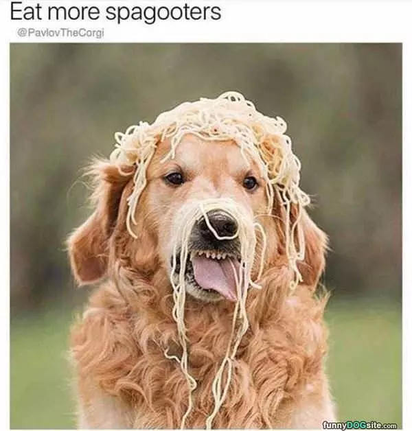 Eat More