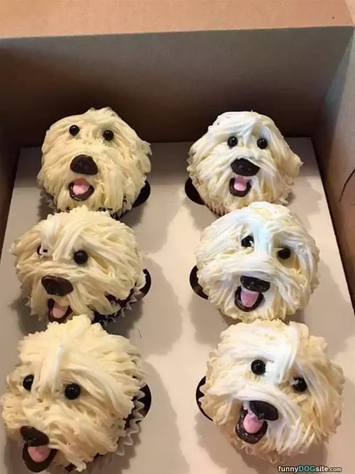Dog Cupcakes