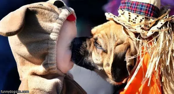 Face Lick