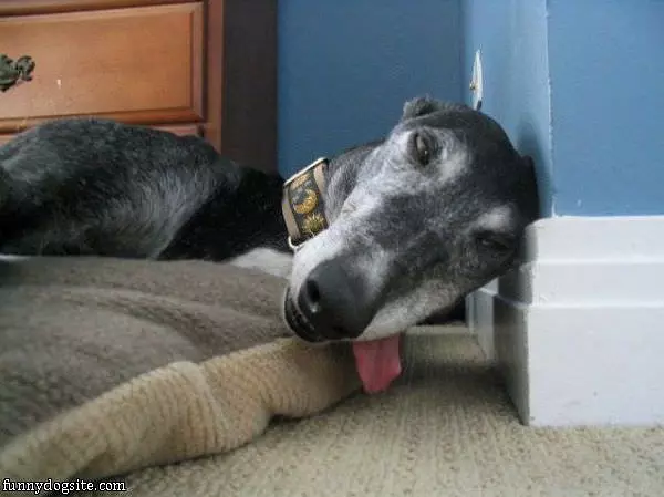 Im Super Tired