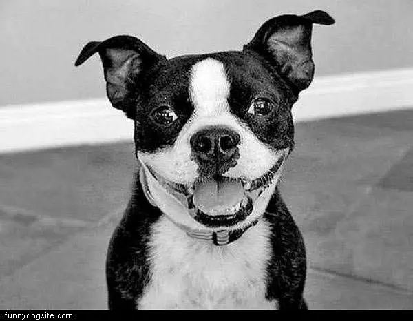 Smiley Face