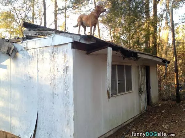 King Of This Castle