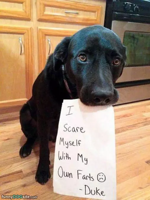 Scare Myself