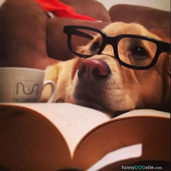 Very Studious