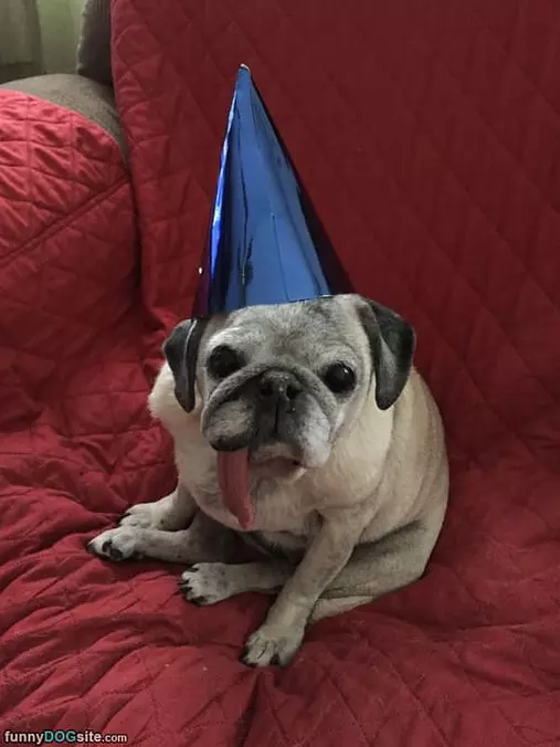 Happy Happy Birthday