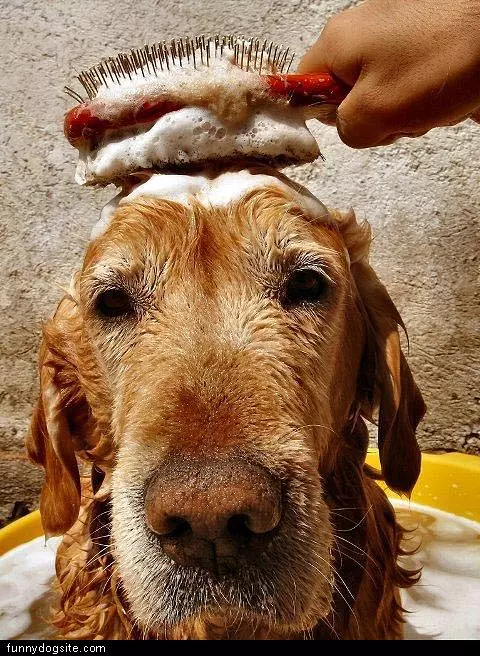 Bath Time