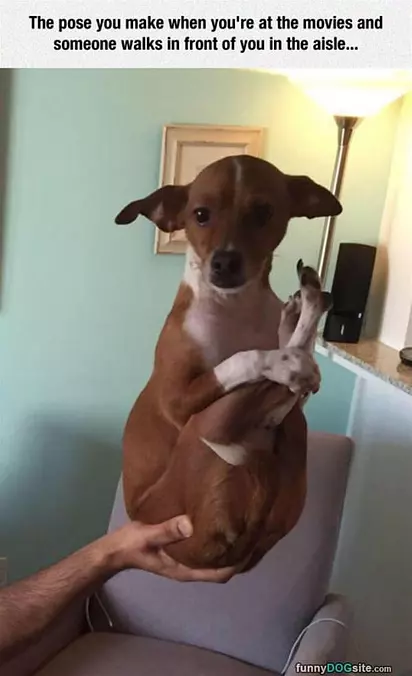 The-pose-you-make
