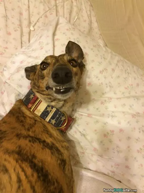 You Woke Me