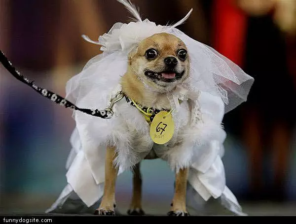 Wedding Day