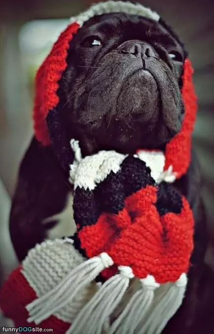 Scarf Modeling