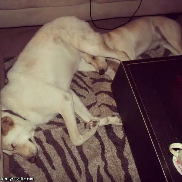 How We Like To Sleep