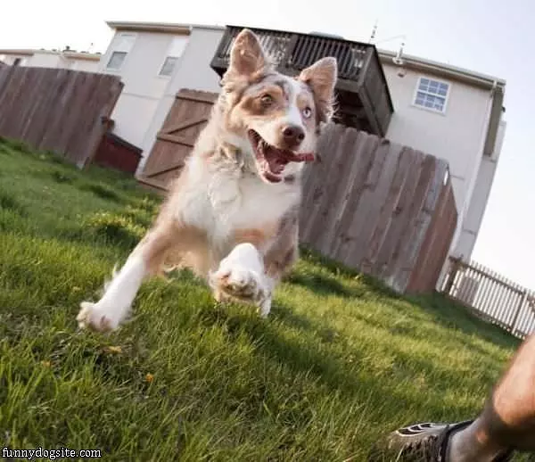 I Love Play Time