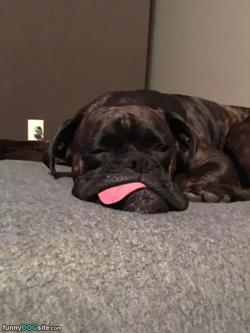 I Am Soooo Sleepy