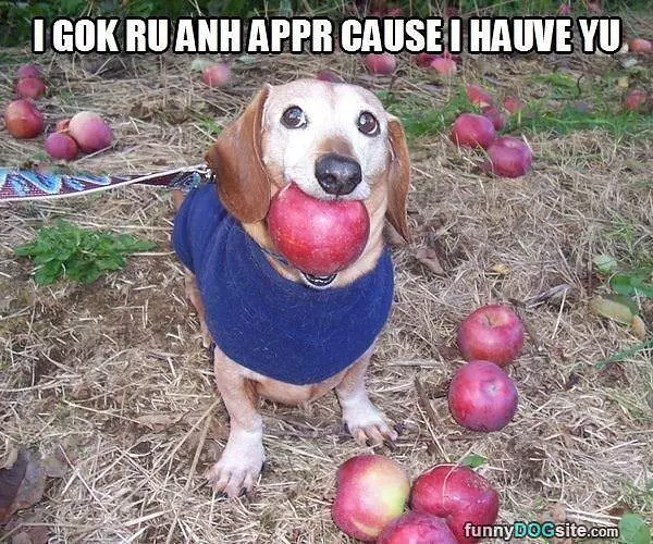 An Apple