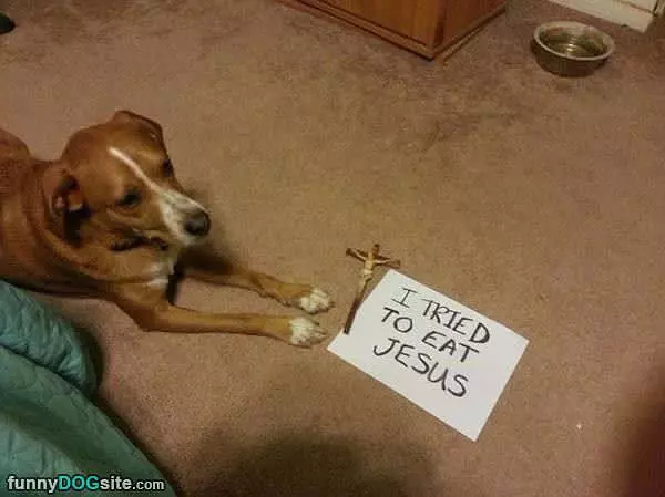 Tried To Eat Jesus