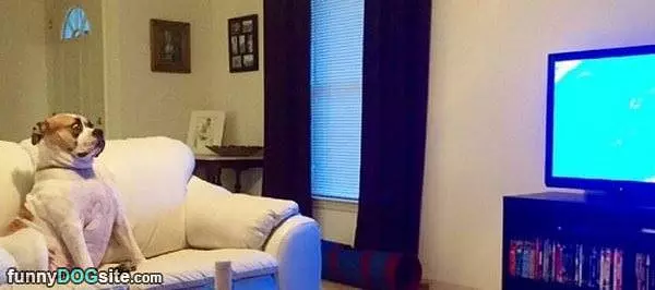 Watching Tv