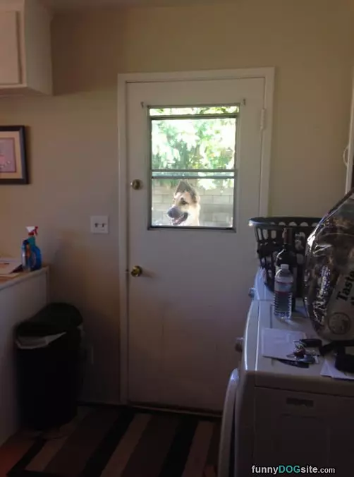 Hey Let Me In