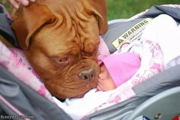 I Will Protect You