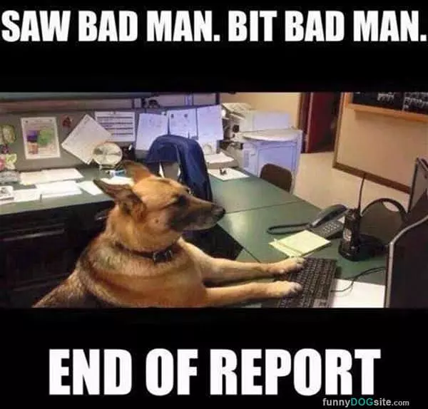 End Of My Report