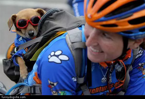 Cycle Dog