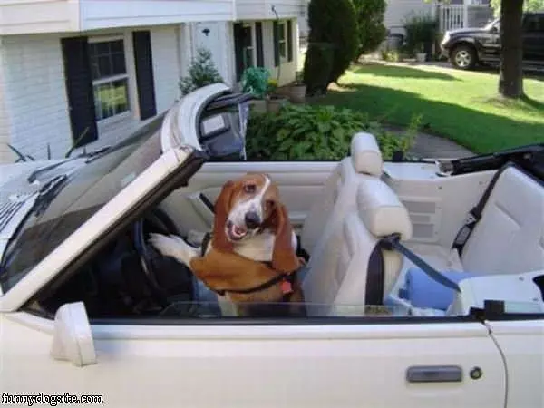 Just Going For A Ride