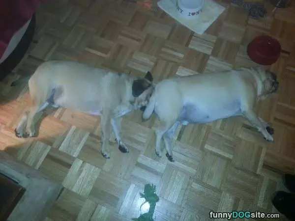 Just A Nap
