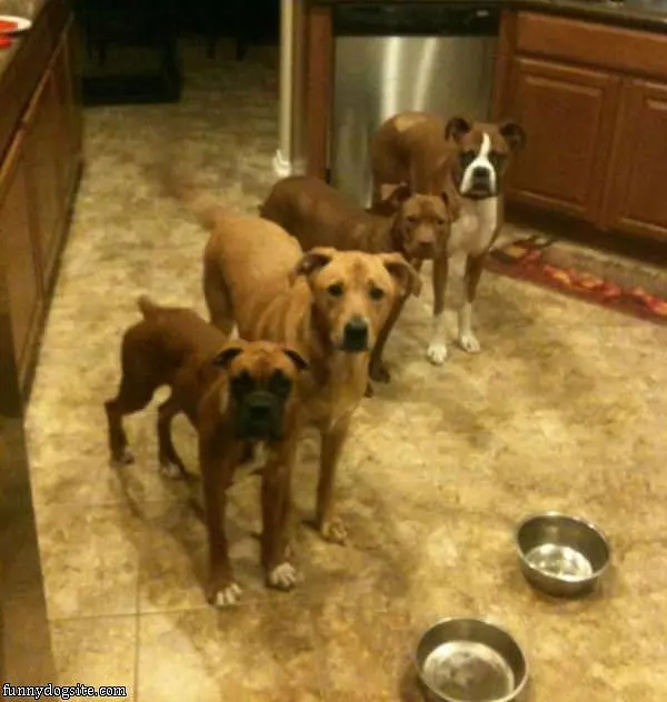 Ready To Eat