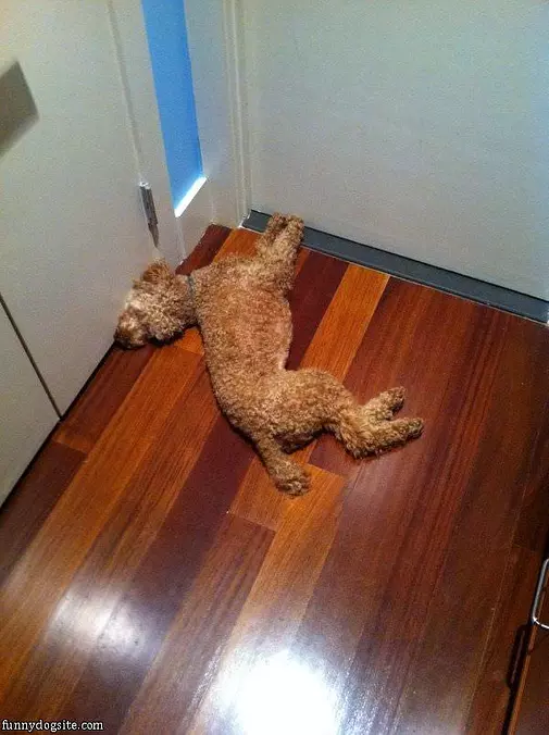 How I Sleep