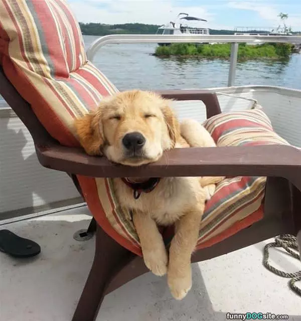 This Is Very Relaxing