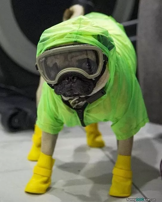 Lab Coat