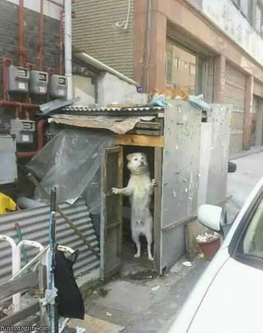 Who Is There