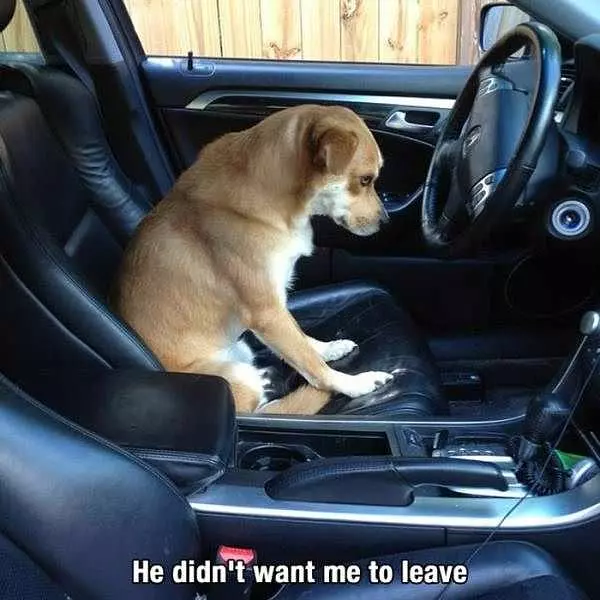 Do Not Leave
