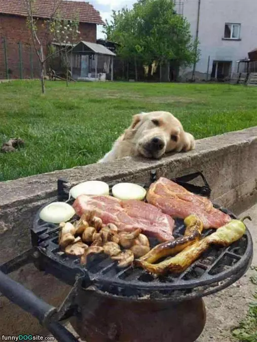 Would Be Nice Of You To Share