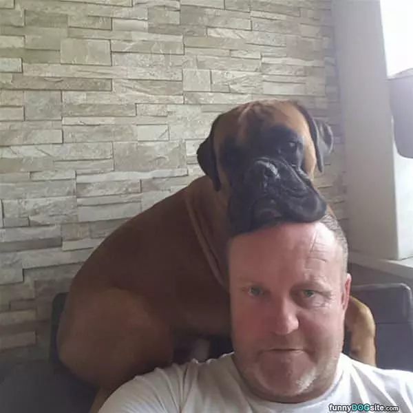 I Am A Hat Now