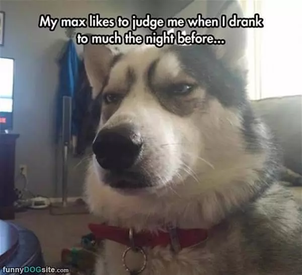 Drank Too Much