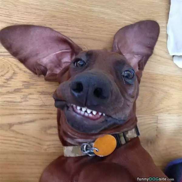 Heyyyyyo There