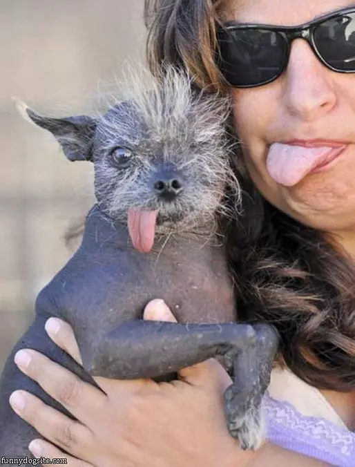 Tongues Out
