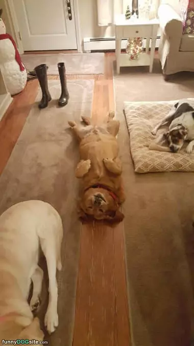 Sooooo Relaxing