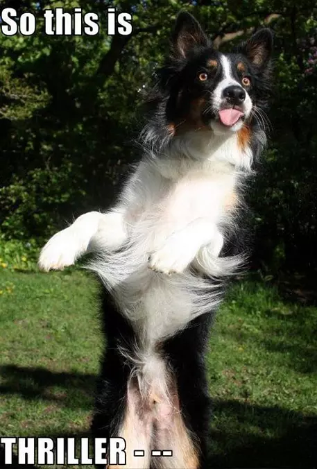 This Is Thriller