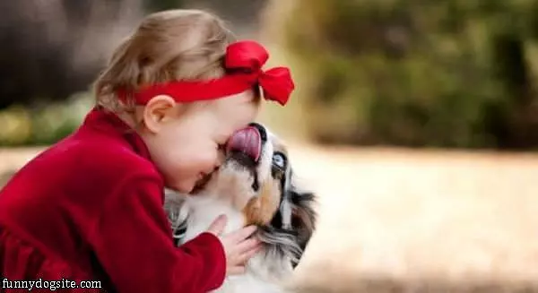 Kisssses