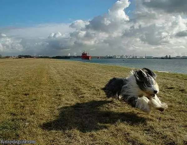 Running Full Speed