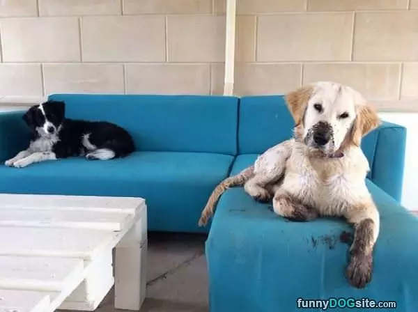 Who Dug In The Mud