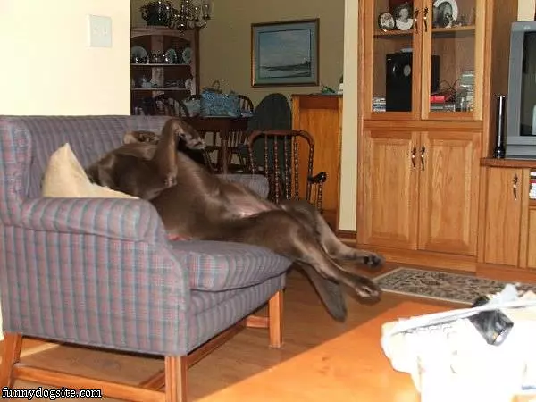 I Sleep Where I Want